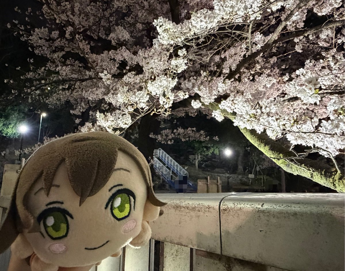 こころ tweet media