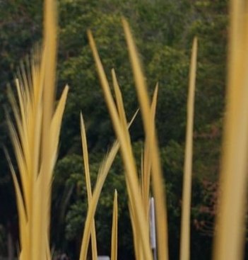 Ramon Manté (@ramon_mante) on Twitter photo 