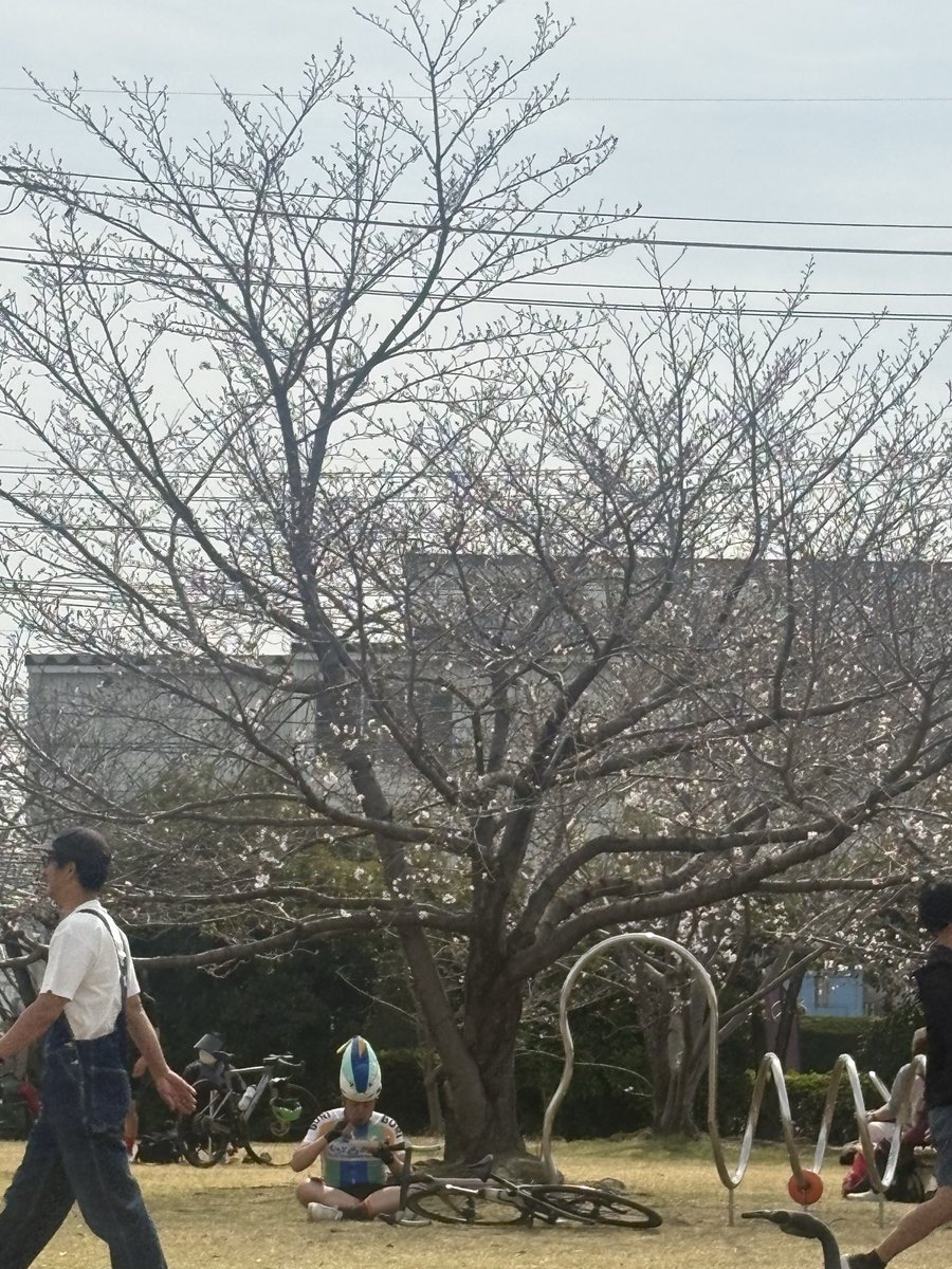 まっちゃん@BRM321近畿300km高松 tweet media