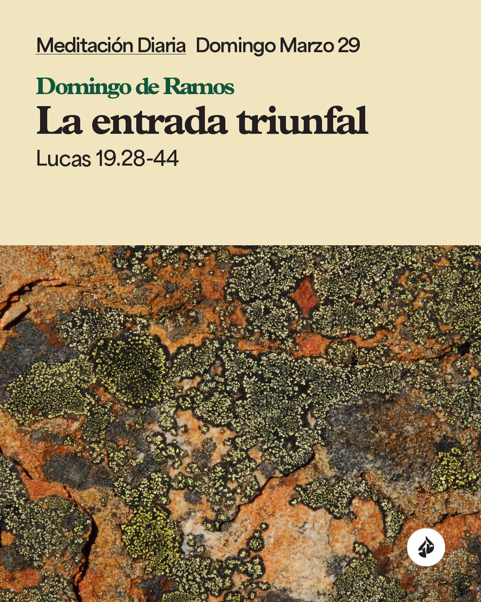 Encontacto's tweet image. Dios a veces actúa de maneras que no esperamos. #Devocional 
encontacto.org/lea/devocional…