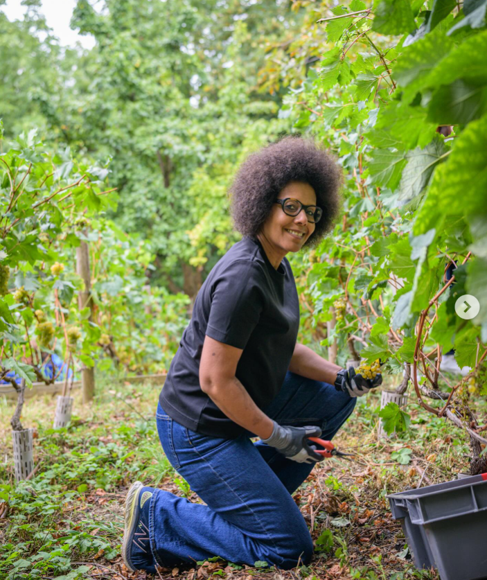 Enzo Morel tweet media