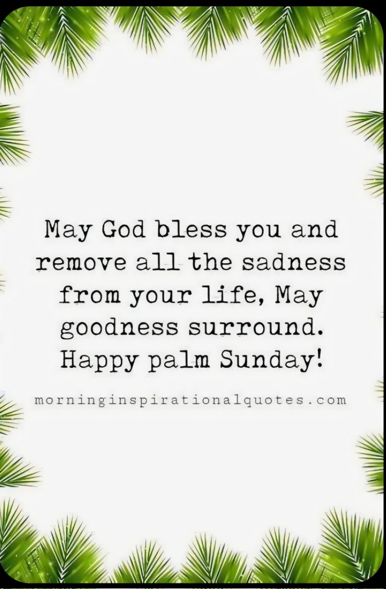 DianeBrumbaugh tweet media