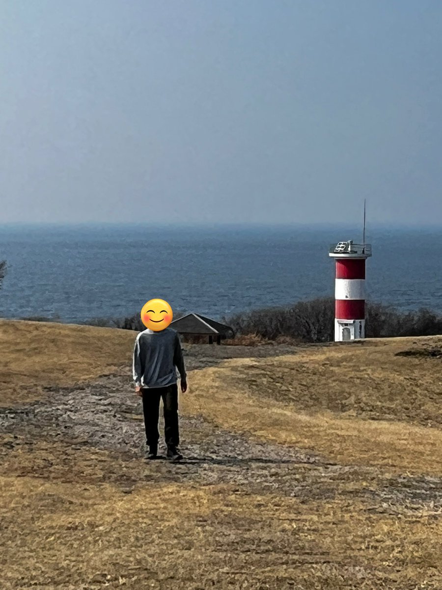 おにぎり tweet media