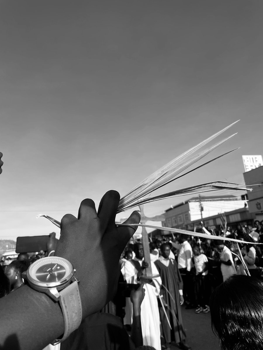 Alber𝚝𝚡 🎽ˣ tweet media