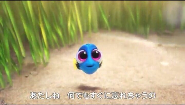 パシフィック tweet media