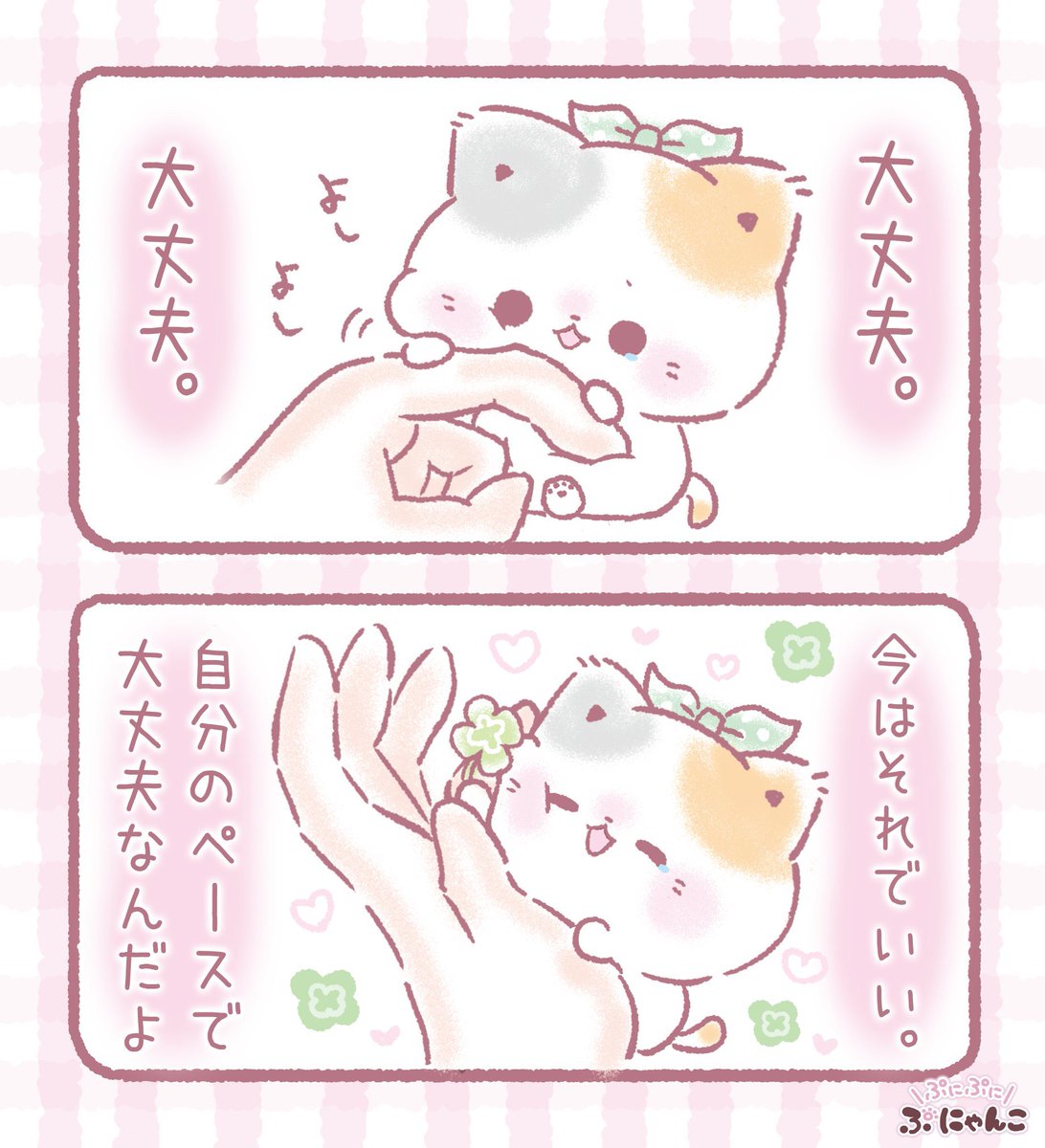 ぷにゃんこ🐾｜TOKUDOME🌼 tweet media