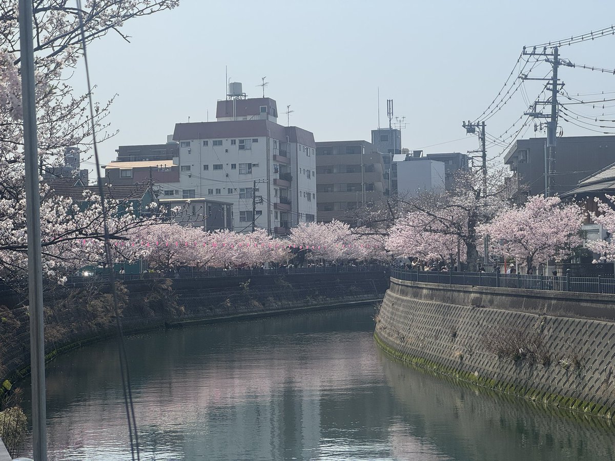 あっつん tweet media