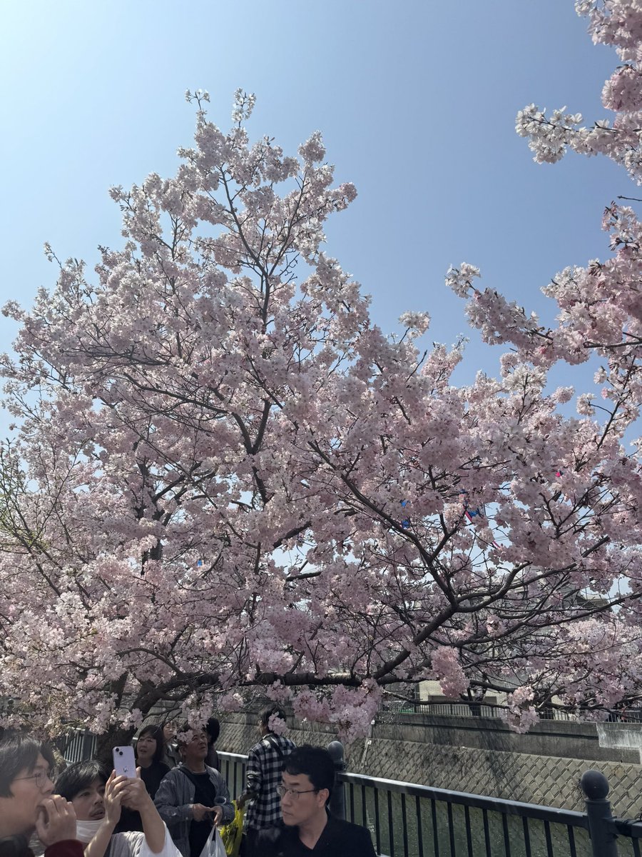 あっつん tweet media