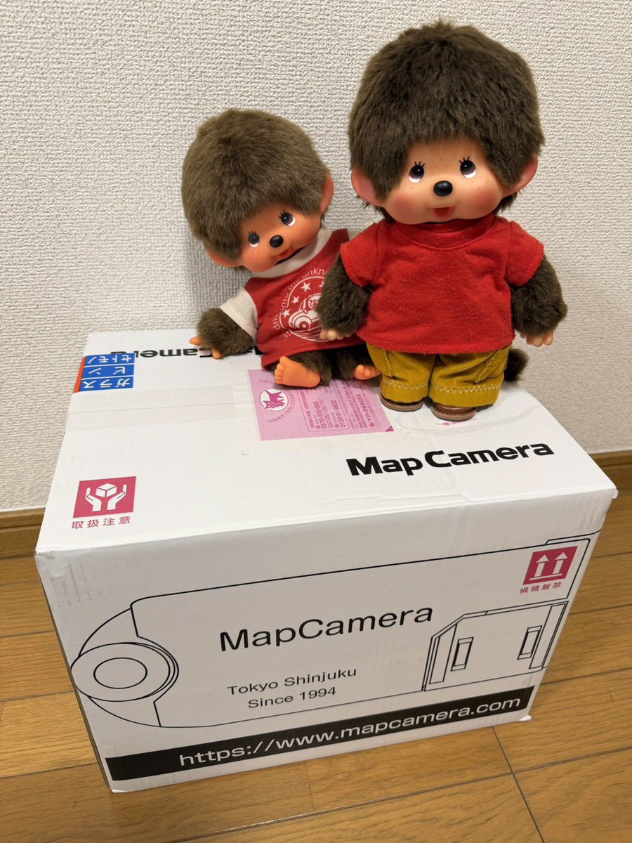 ふたば🌱 tweet media