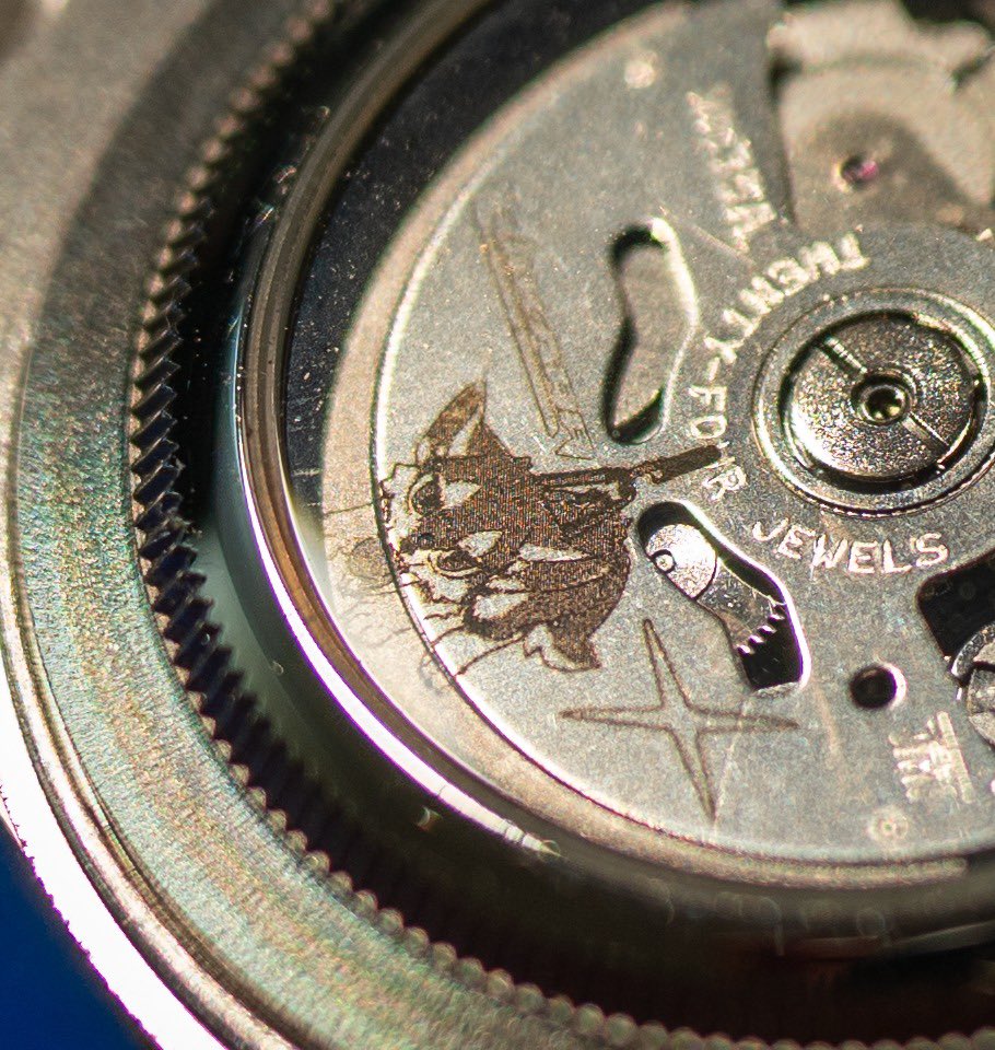 ビカラ / Vikara tweet media