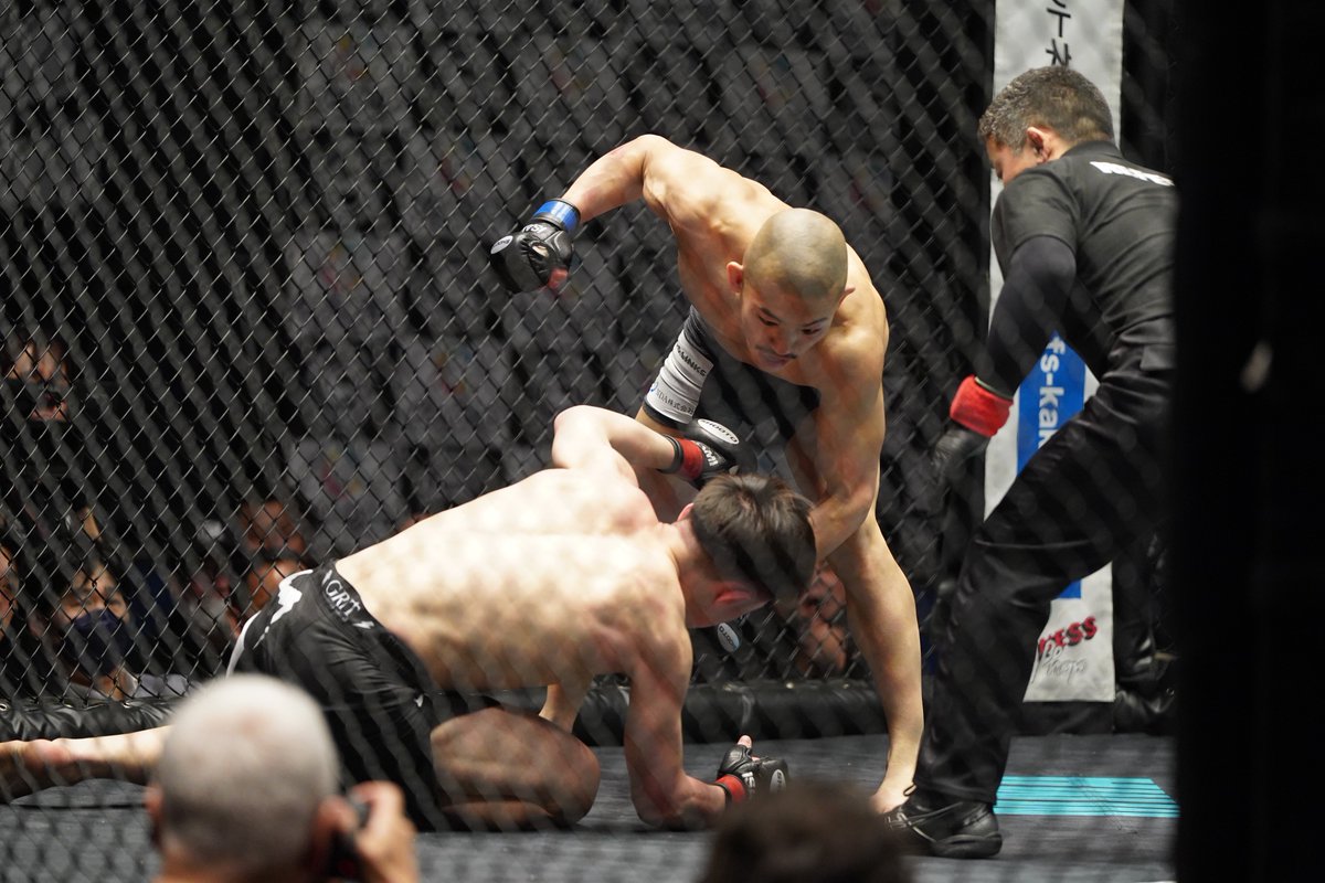 Gigio tweet media
