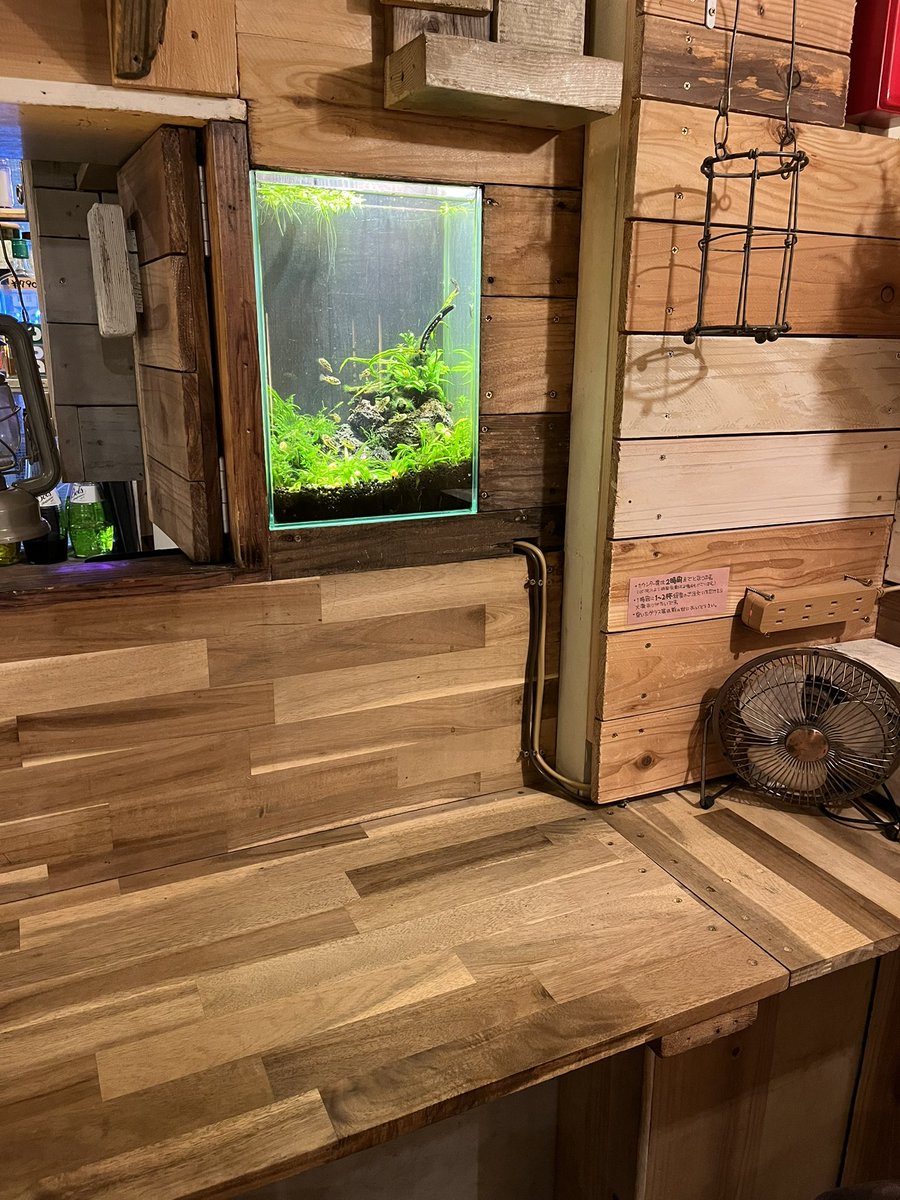 【月曜】ネガティブカフェ&バー モリオウチ　【火水木金土日】個室ミニ水そうカフェ＆バー モリオウチ tweet media