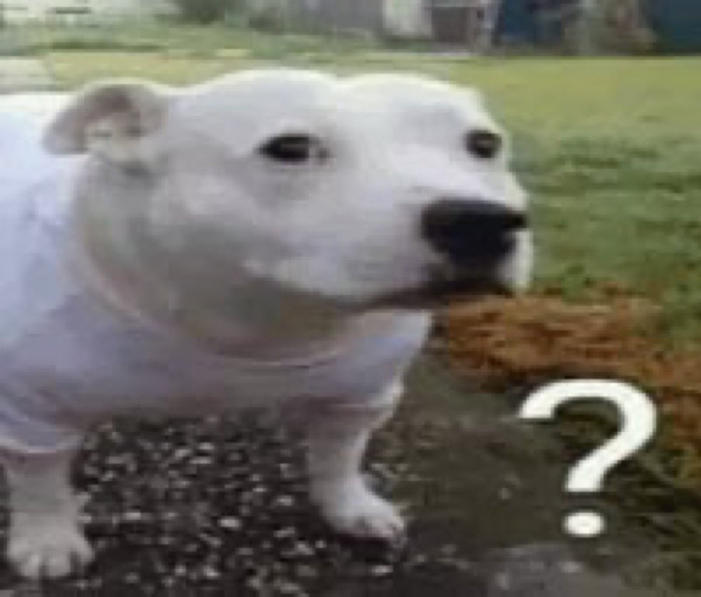 kat ! 🐇🍊 tweet media