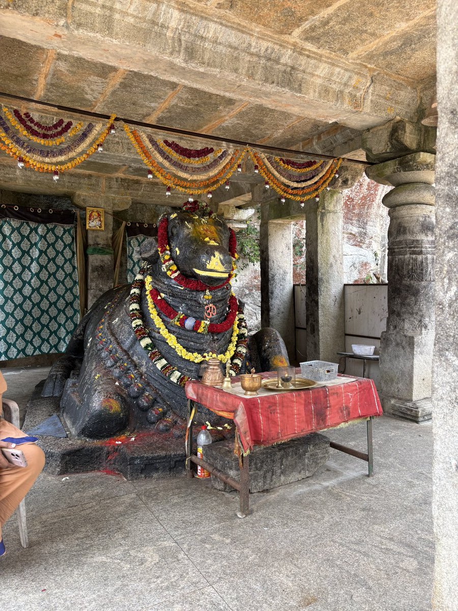 キラ✨キラ✨🇮🇳 インド単身ソルジャー🛺🛺🛺 tweet media