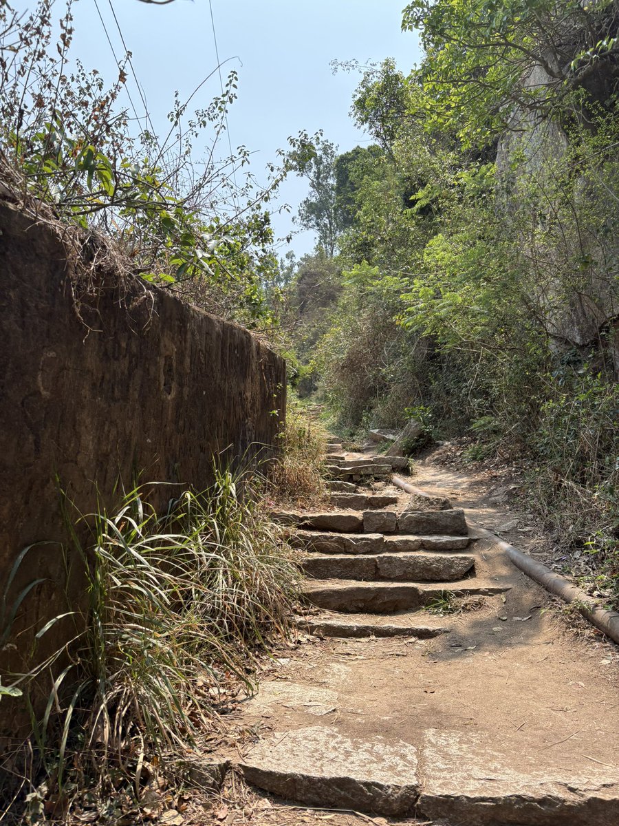 キラ✨キラ✨🇮🇳 インド単身ソルジャー🛺🛺🛺 tweet media