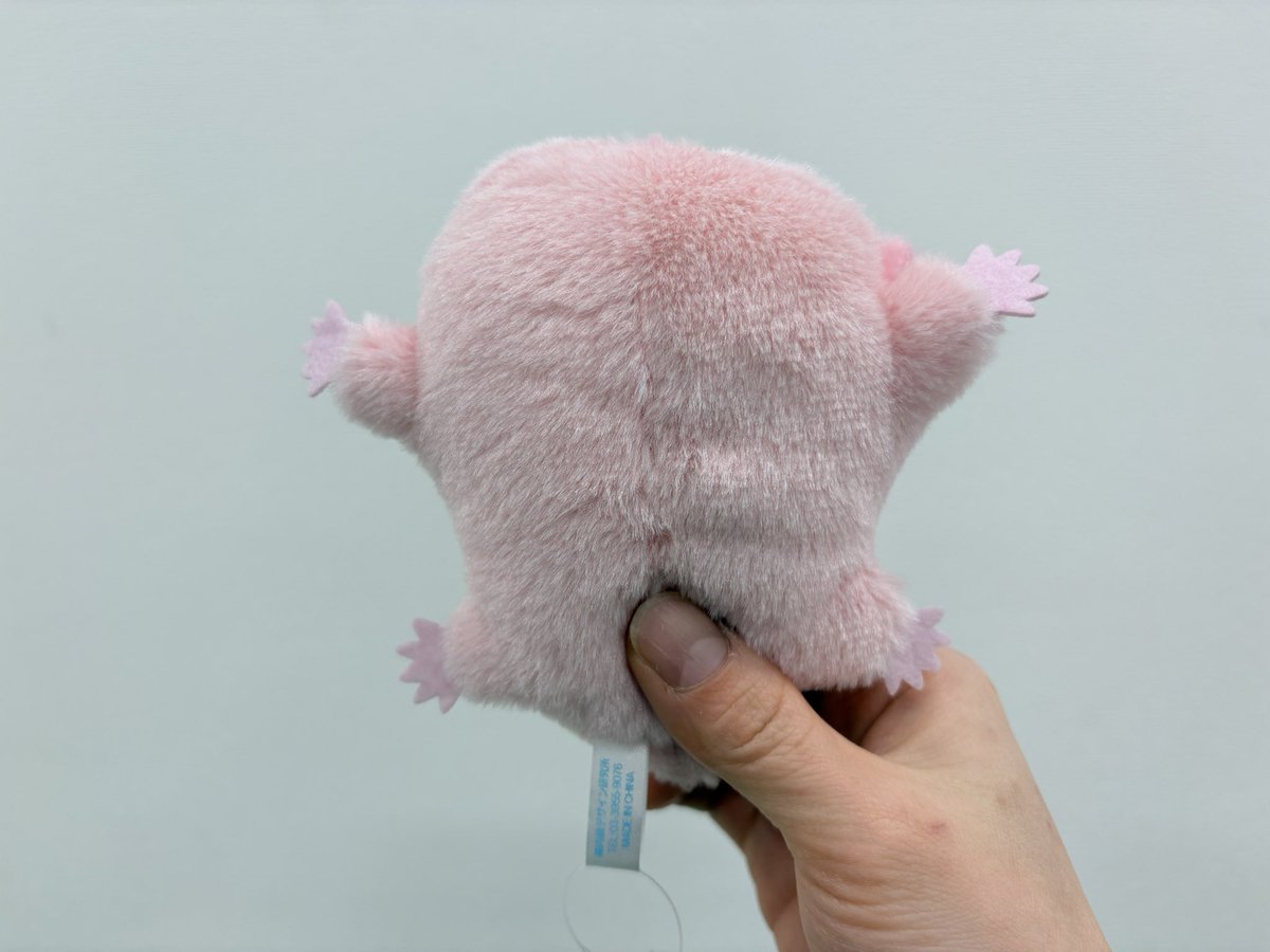 幼魚水族館 tweet media