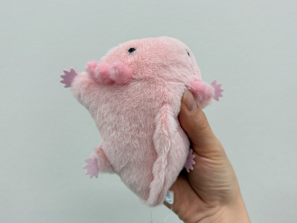 幼魚水族館 tweet media