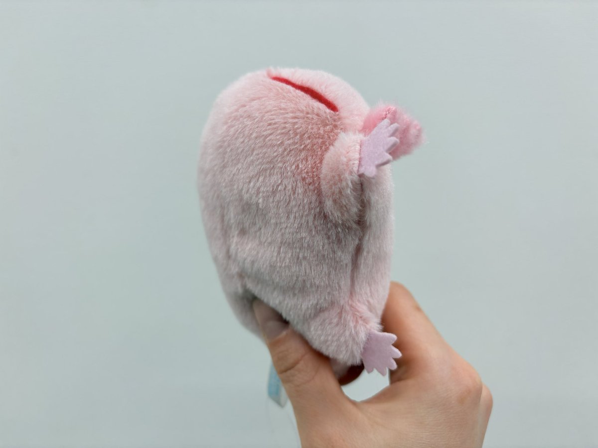 幼魚水族館 tweet media