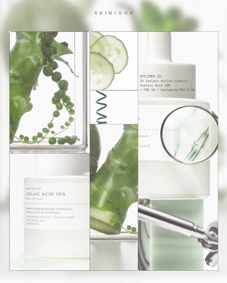 びゅーてぃふるえんす🎀【公式】 tweet media