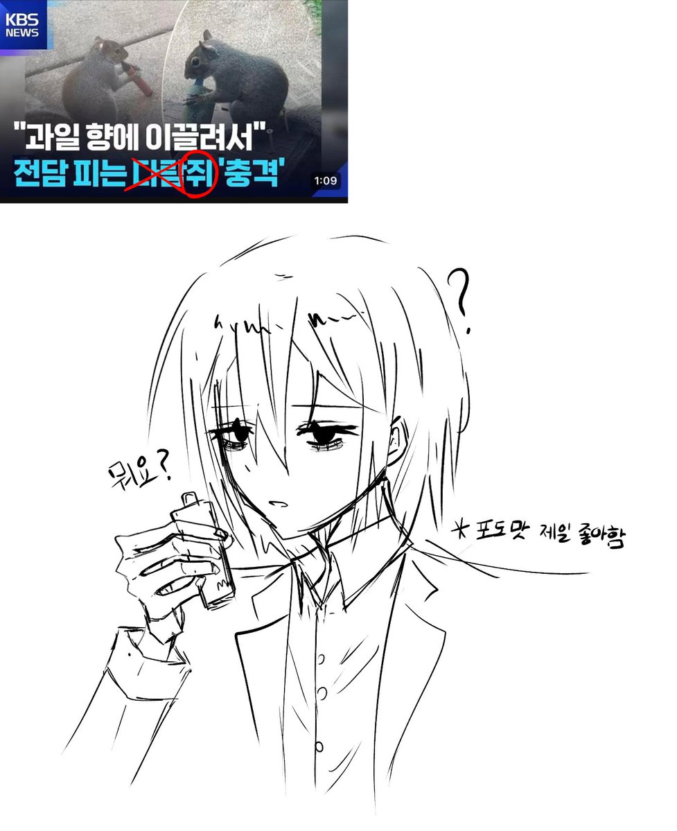 개표독(5수코/토) tweet media