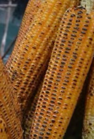 THIRD BORN tweet media