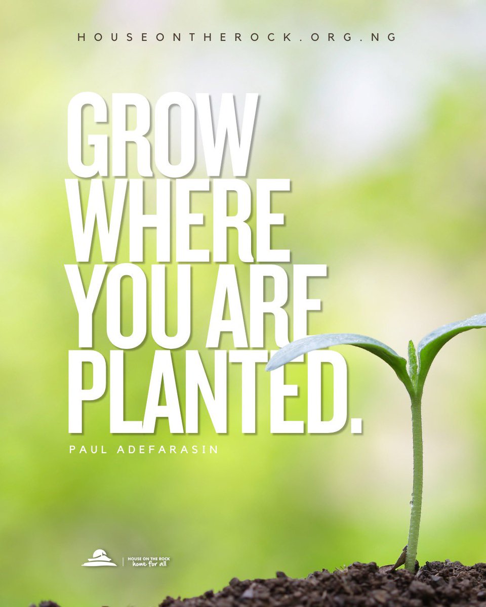 Right where you are, grace is available, strength is supplied, and transformation is happening. The soil may feel uncomfortable, but it is still fertile for your becoming.

📖 “Those that be planted in the house of the Lord shall flourish in the courts of our God.” — Psalm 92:13