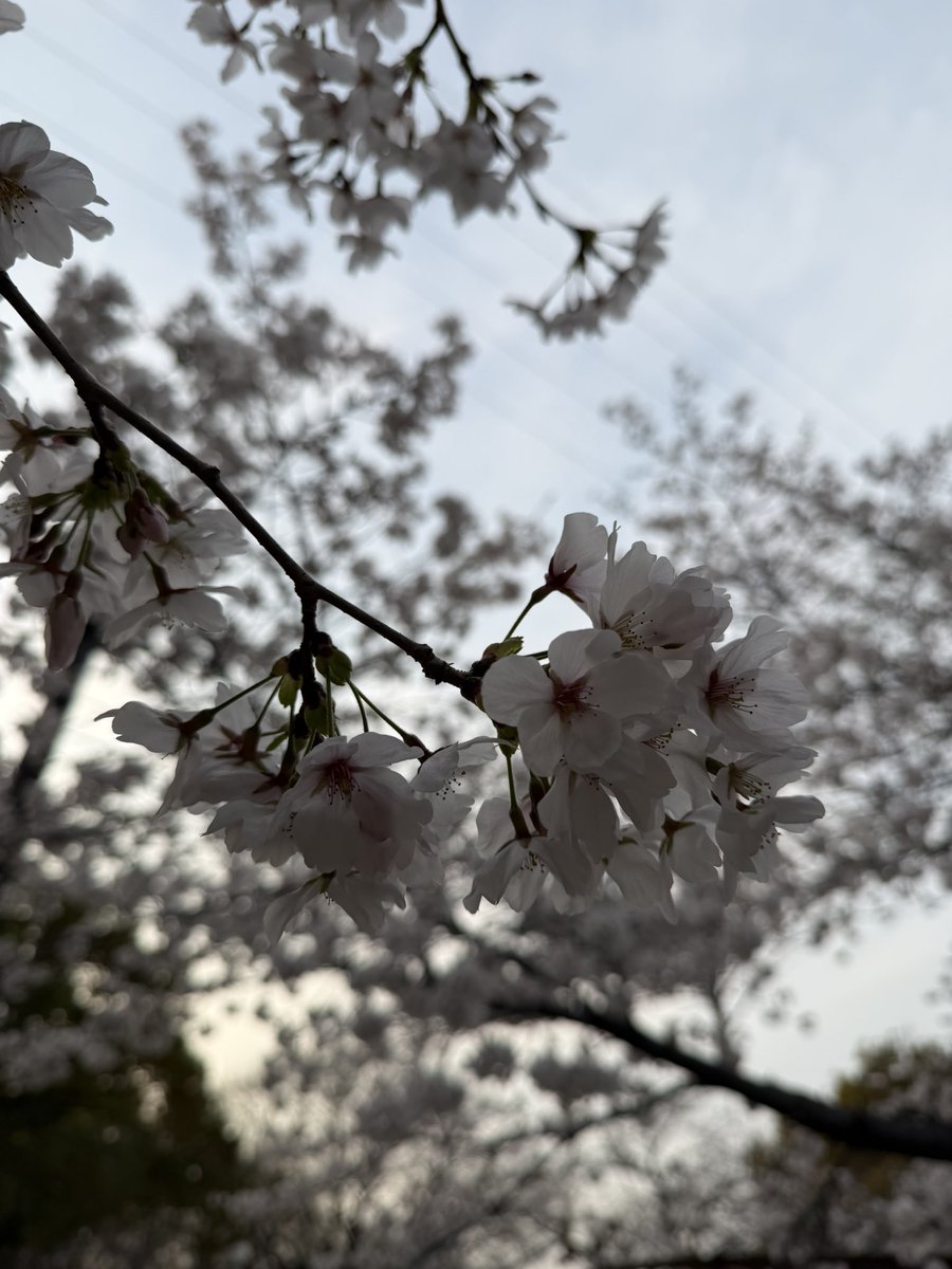 竹下健人 tweet media