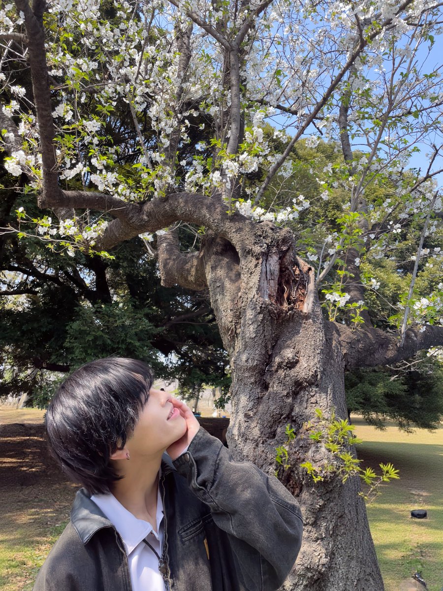 菊田彩斗【燦楽景】 tweet media