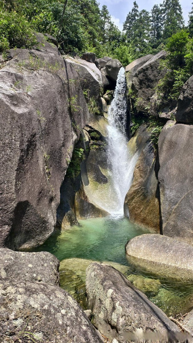 vikram Sain tweet media