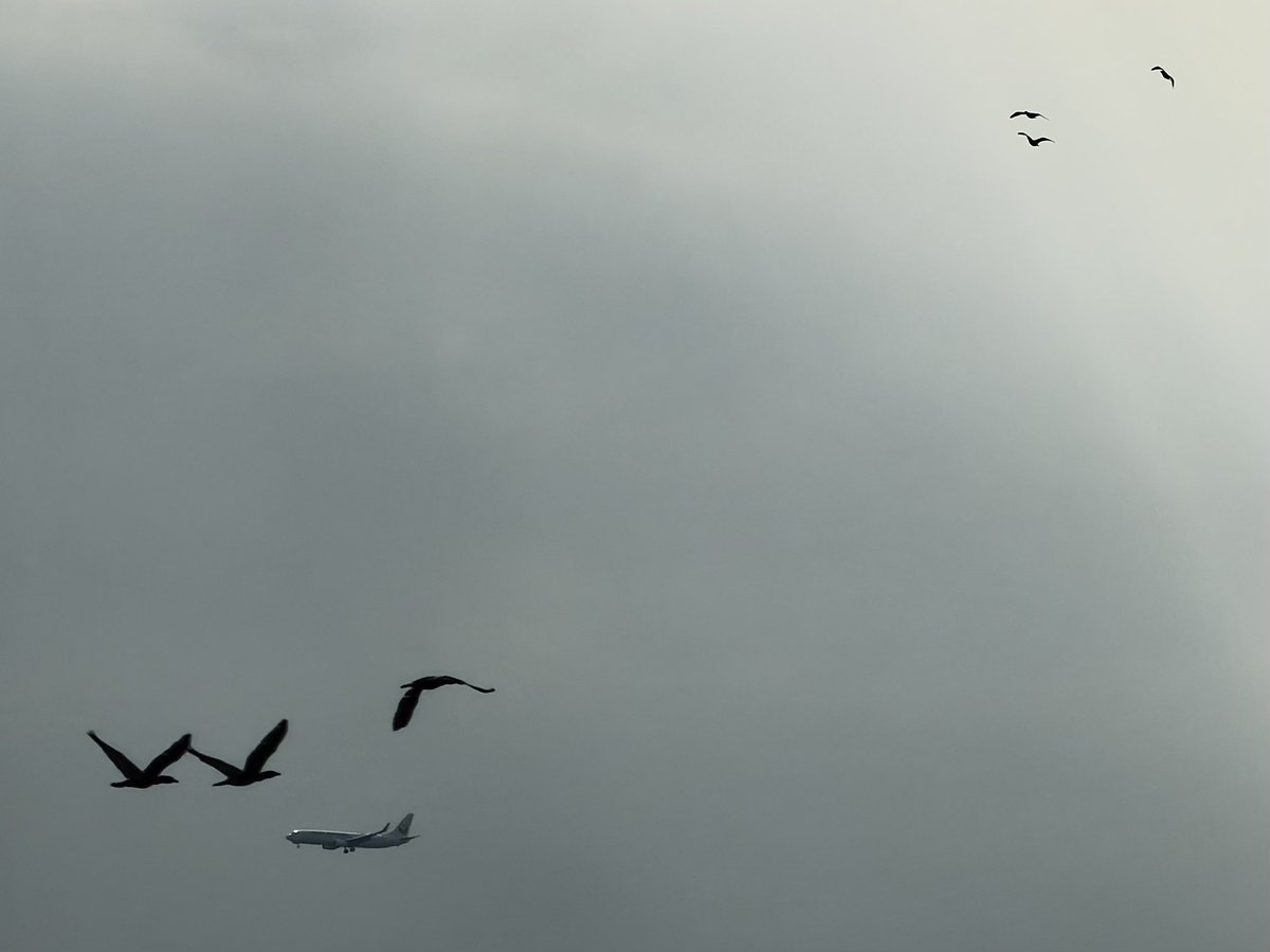 MDR　・▽・ tweet media