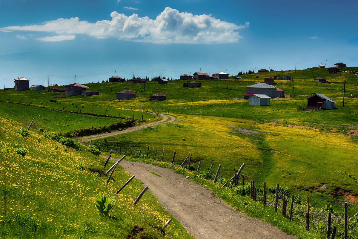 Ahmet Metin Genç tweet media