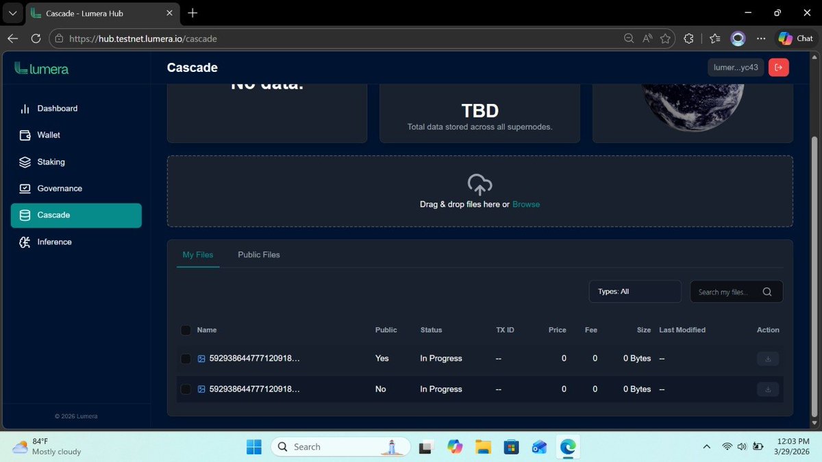 okpara_chi17051's tweet image. Simplifying how we handle public data one file at a time. 📂 Access and transparency are key, and having the right tools makes all the difference for a seamless experience

Big things happening over at @Lumera! 
​#Lumera #Cascade