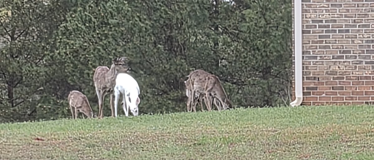 Someoneyouknow tweet media