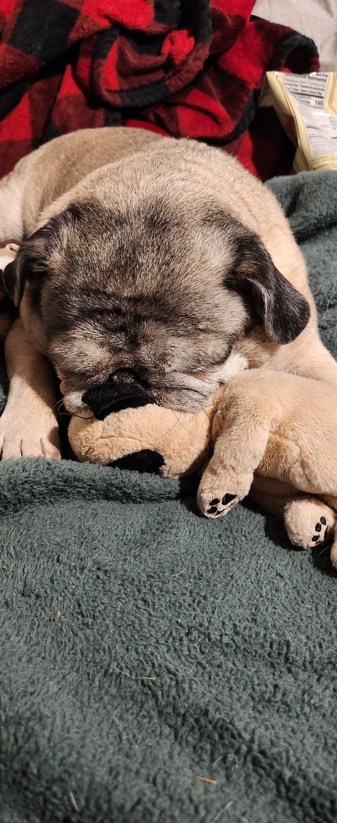 Someoneyouknow tweet media