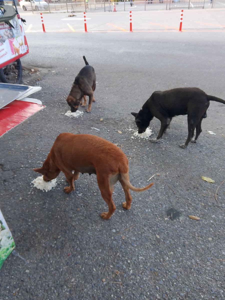 🌸嘉竹桃💉田嘉瑞🐣 tweet media