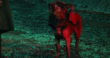 Stephen Gibbons tweet media