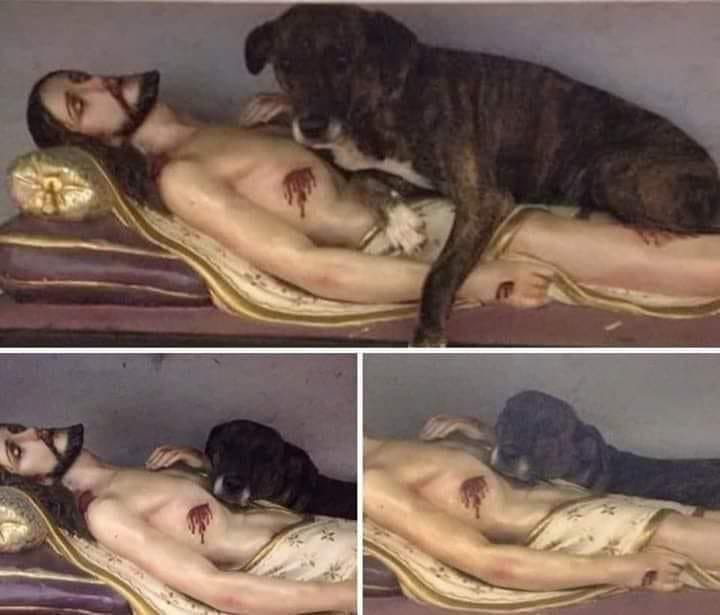 Abrace a Tradição tweet media