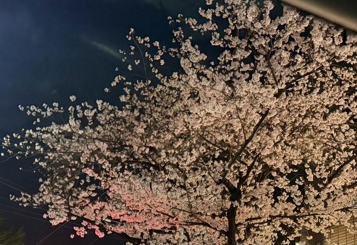 香川久 Hisashi Kagawa tweet media