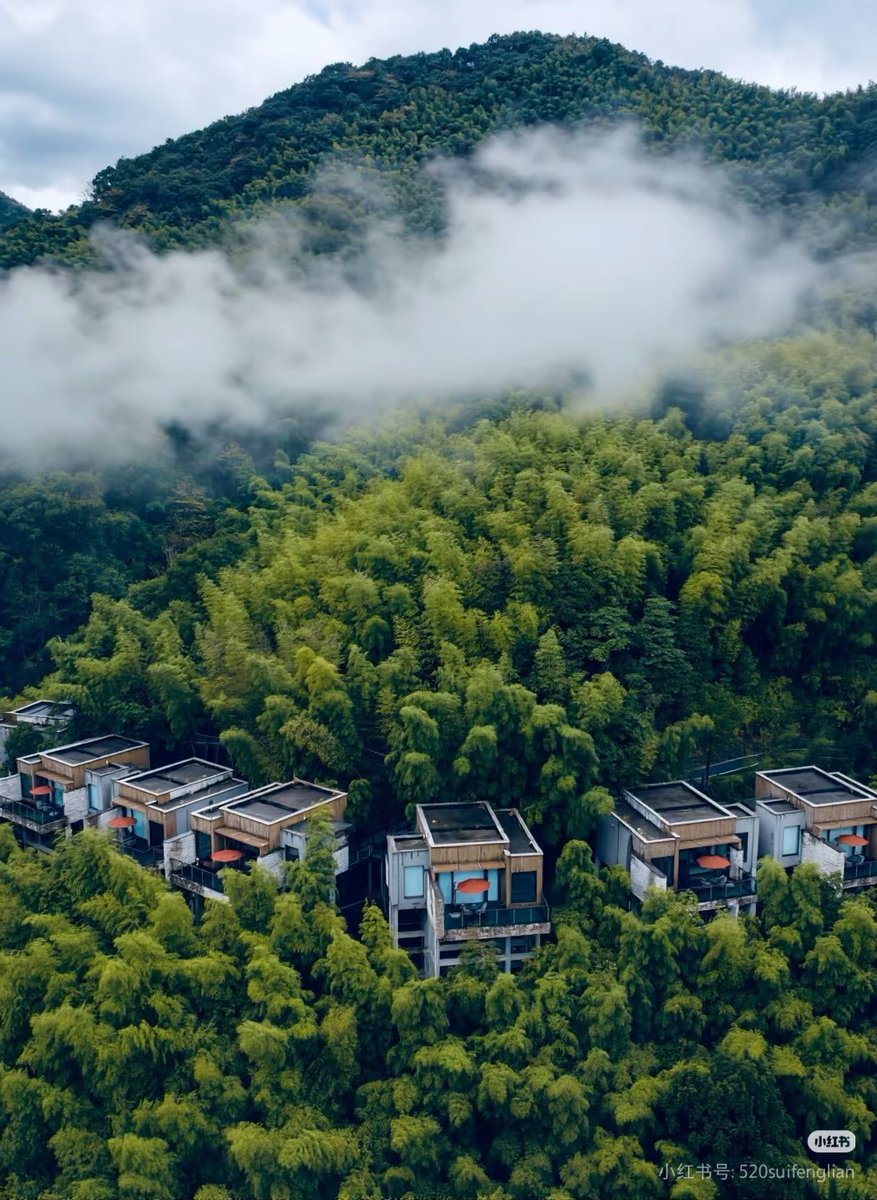 Insight Ninghai tweet media