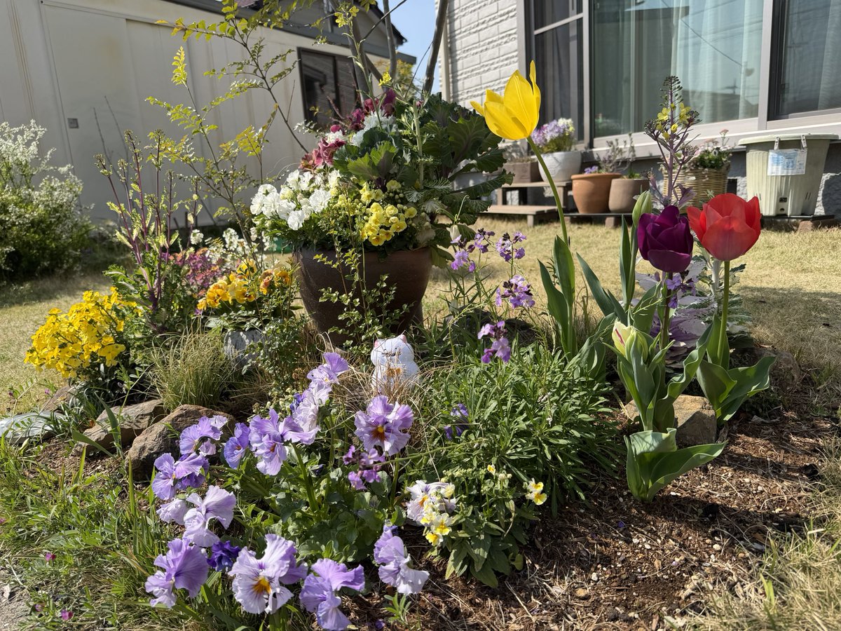 コバトーン1007 tweet media