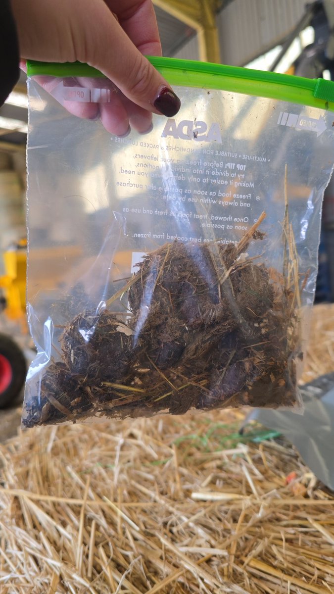 ᏰᏒᏋᏗ tweet media