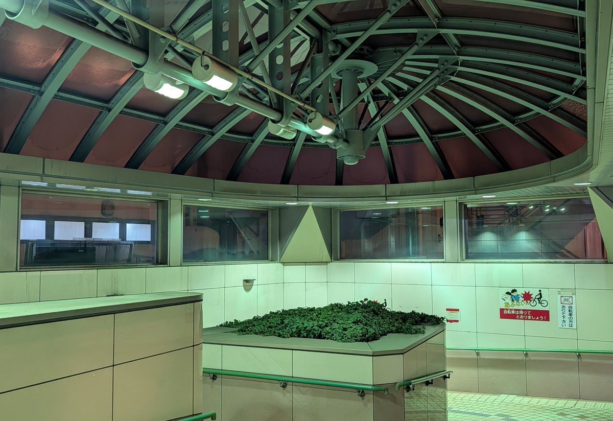 原子心鯔 tweet media