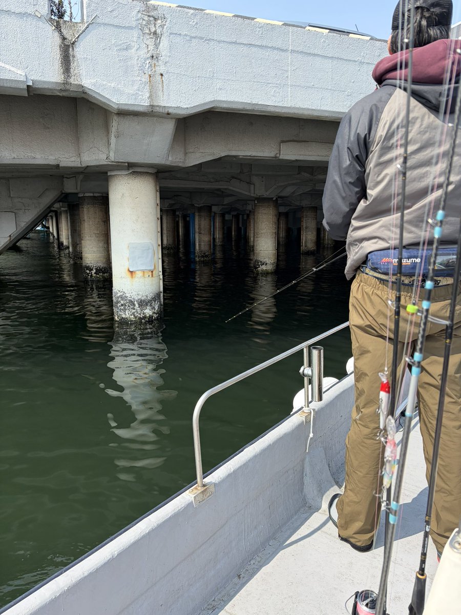 うぇるだん🐠 tweet media