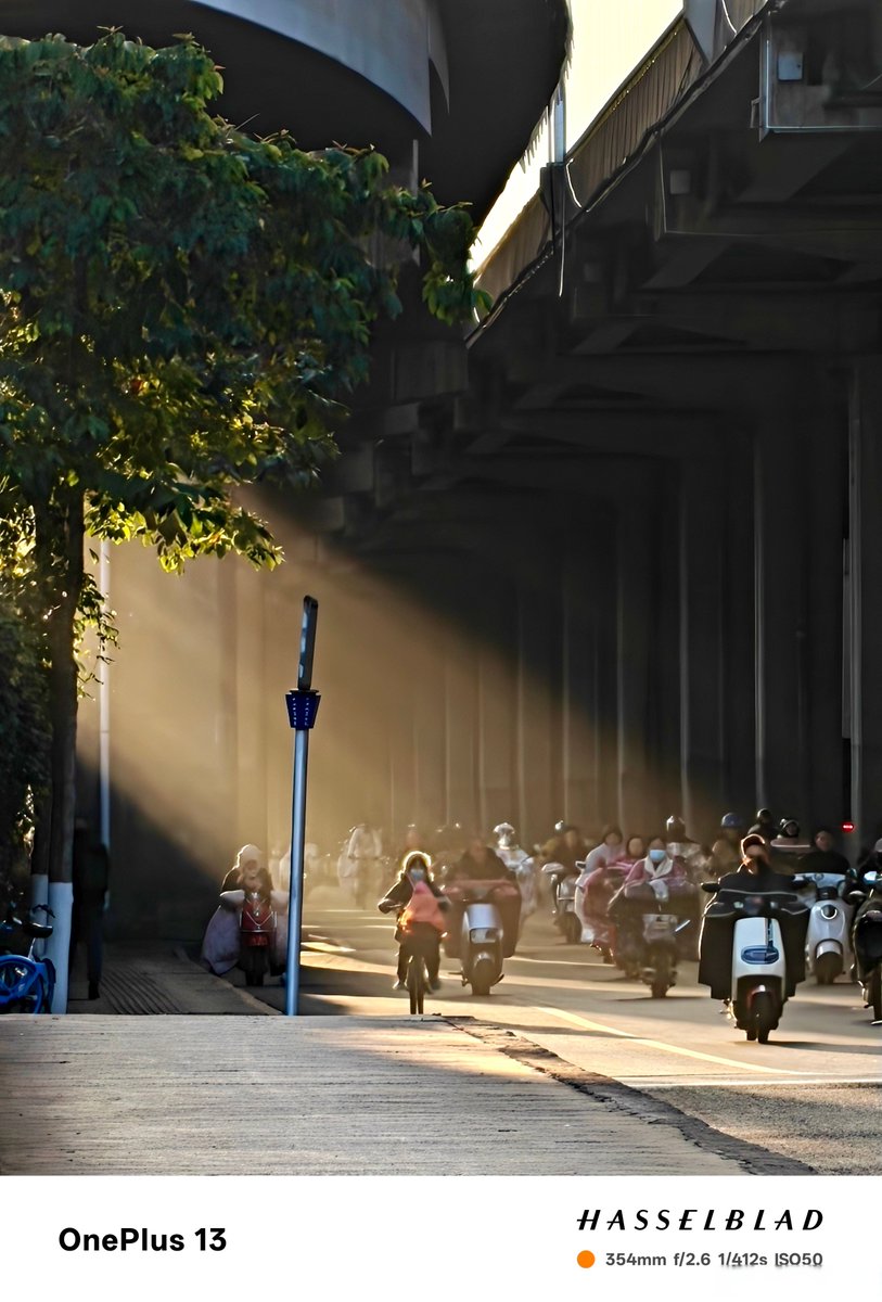 Phenix 117 tweet media