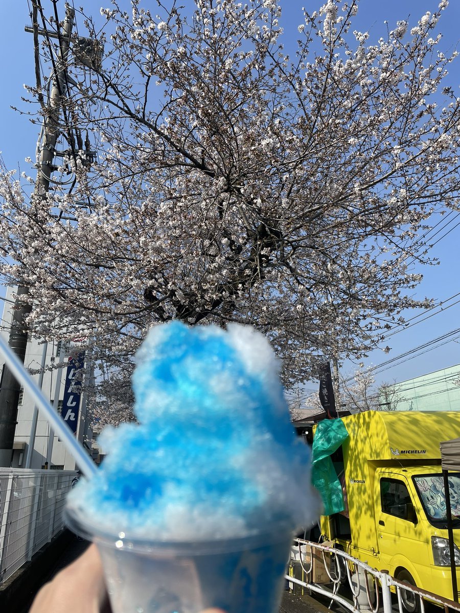 塵 -zin- tweet media