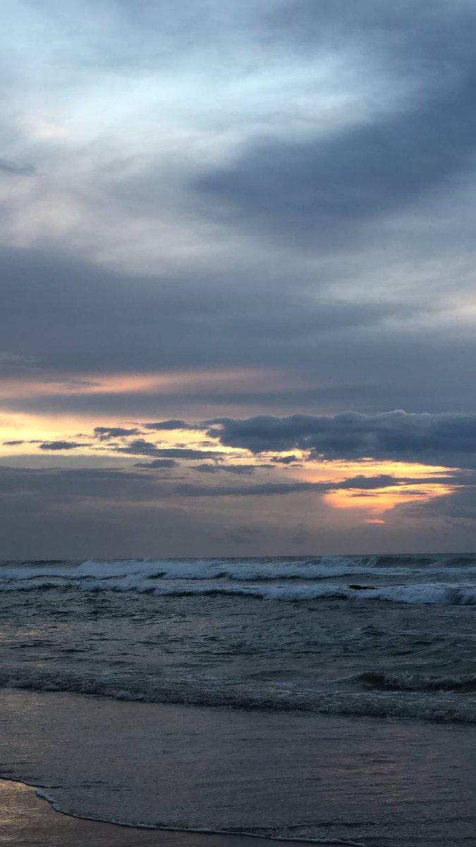 سَارّة tweet media