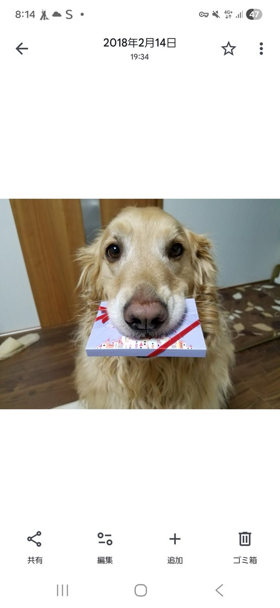 あかにゃー!!!ワンコ🐶好き tweet media