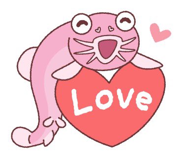 どじょちゃん tweet media