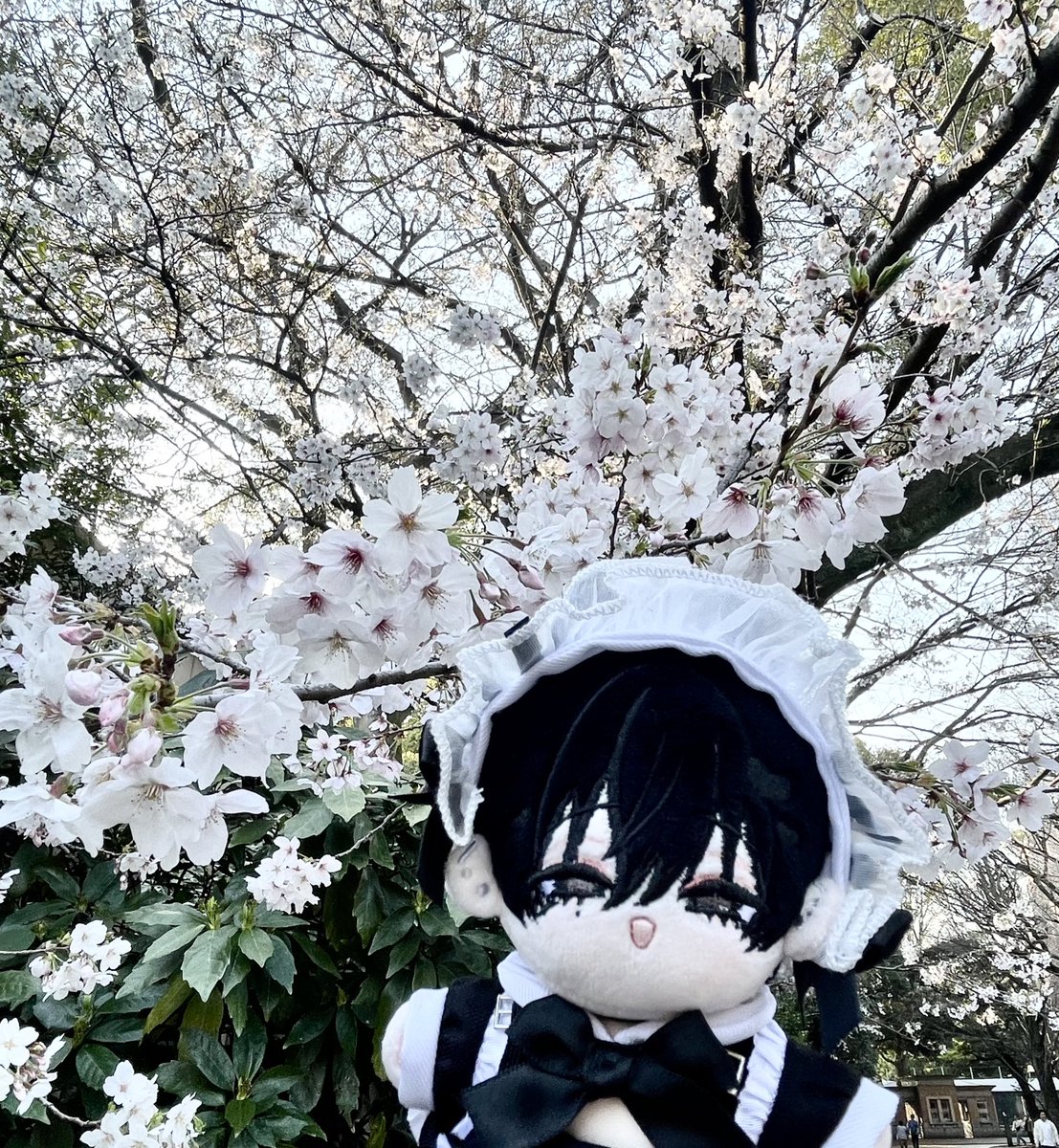 あずゆ tweet media