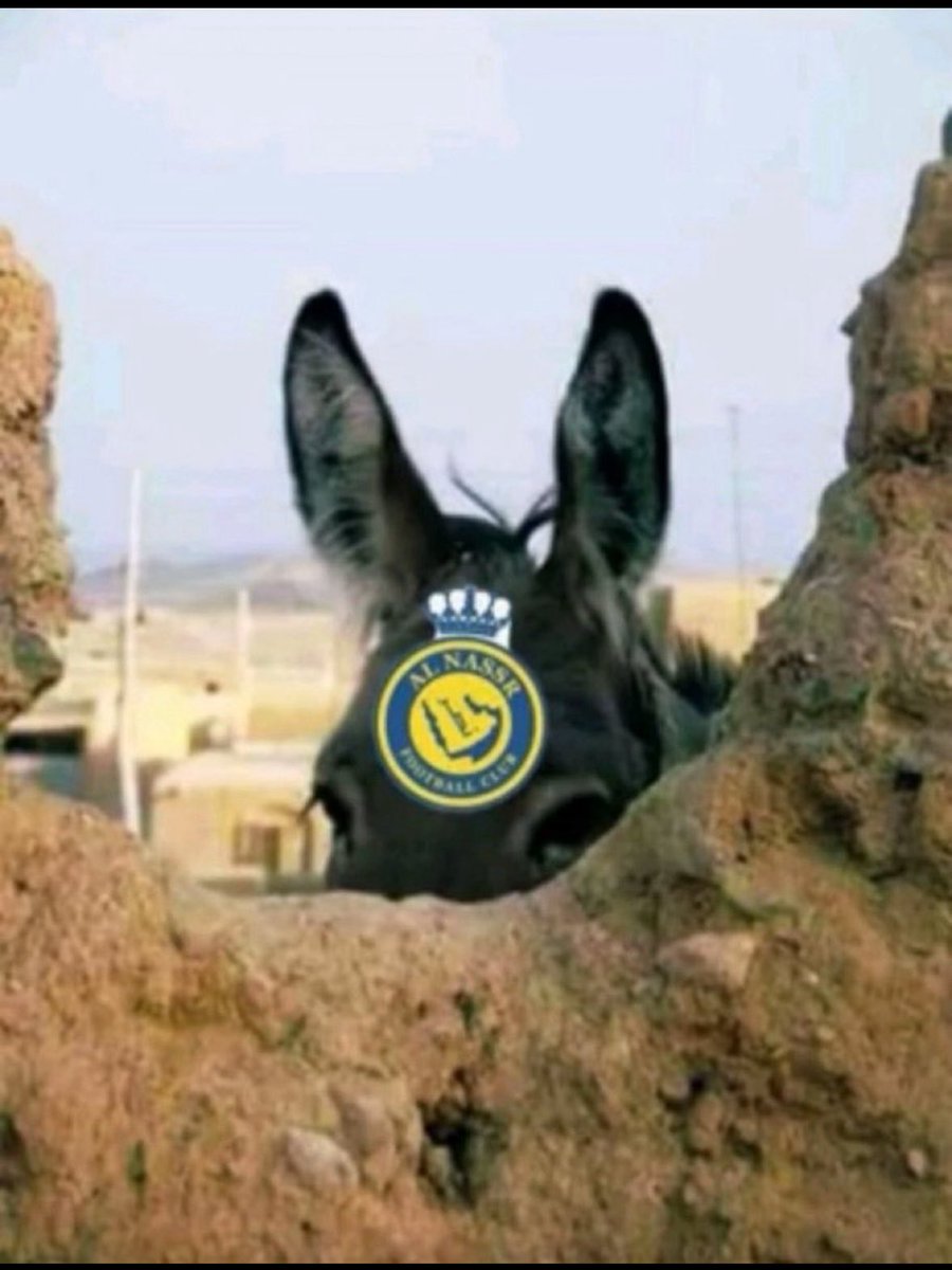 صلوا على النبي | faisal tweet media